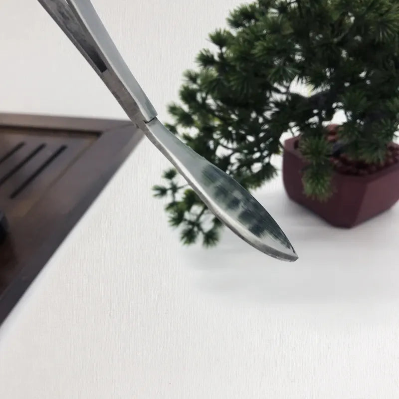 Edelstahl-Werkzeugset für Bonsai – Harken/Pinzette/Erdverdichter – Für Sukkulenten & Balkongärtnerei